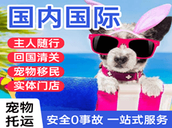 营口兰旗机场空运国际宠物托运 【国